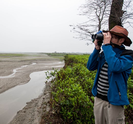 North India Birding Tour